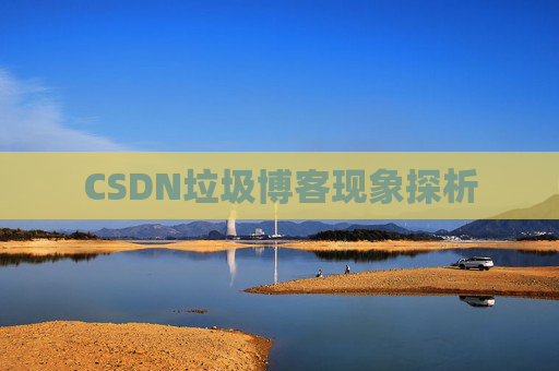 CSDN垃圾博客现象探析
